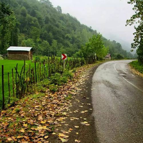 امید مهدیزاده خنجر نا رفاقتی بر کنج قلبم رسیده